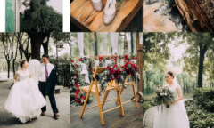 会议拍摄 形象照证件照 婚礼跟拍写真